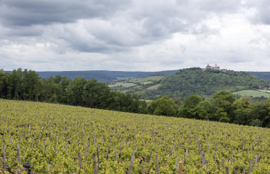 Vue de Vézelay depuis la cabane d’Asquins. © N. Waltefaugle