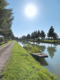 Brise-glace dans le bief 17. Alignement de sapins. © Région Bourgogne-Franche-Comté, Inventaire du patrimoine