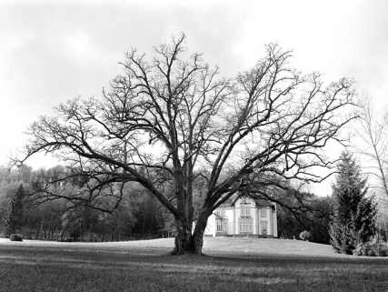 Le logement patronal et son parc depuis le nord-est. © Région Bourgogne-Franche-Comté, Inventaire du patrimoine