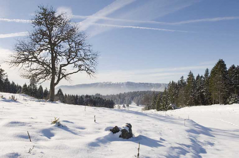 Les falaises du Mont d'Or depuis la Piagrette. © Région Bourgogne-Franche-Comté, Inventaire du patrimoine