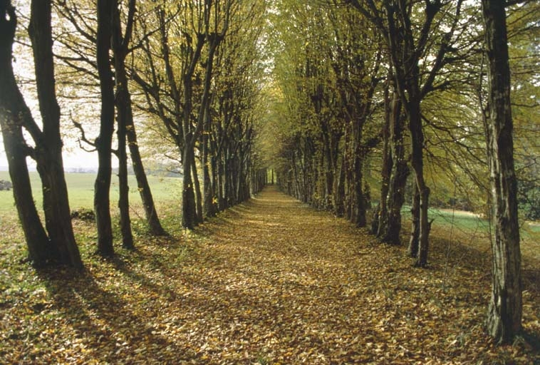 Allée couverte à l'ouest de la demeure. © Région Bourgogne-Franche-Comté, Inventaire du patrimoine