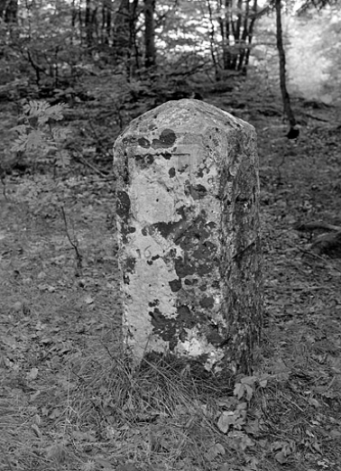 Armes de Franche-Comté. © Région Bourgogne-Franche-Comté, Inventaire du patrimoine