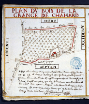 Plan du bois de la grange de Chamard. © Région Bourgogne-Franche-Comté, Inventaire du patrimoine