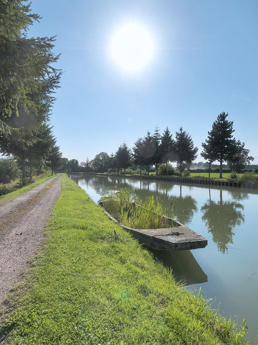 Brise-glace dans le bief 17. Alignement de sapins. © Thierry Kuntz / Région Bourgogne-Franche-Comté, Inventaire du patrimoine - 2012