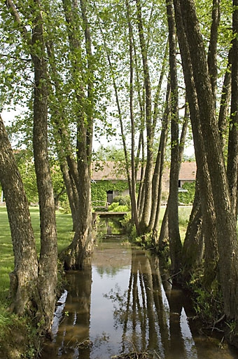 Bief de dérivation. Vue depuis l'aval. © Jérôme Mongreville / Région Bourgogne-Franche-Comté, Inventaire du patrimoine - 2007