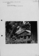 IA00013883_007