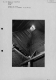 IA00013895_012