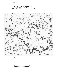 IA00051626_005
