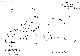 IA39000002_009
