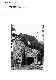 IA39000002_013