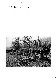 IA39000002_035