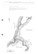 IA39000401_044