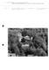 IA39000401_077