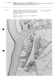 IA39000441_009