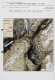 IA39001133_008