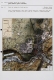 IA39001169_006