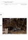 IA70000311_043
