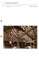 IA70000311_055