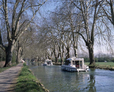 Bateaux sur le canal du Rhône au Rhin à Dole (39)