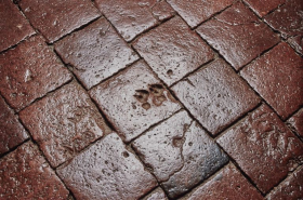 Carrelage de sol © Région Bourgogne-Franche-Comté, Inventaire du patrimoine