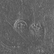 Assiette n° 02/00172, 2 : détail des poinçons du revers. © Région Bourgogne-Franche-Comté, Inventaire du patrimoine