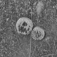 Assiette n° 02/00395, 5 : détail des poinçons. © Région Bourgogne-Franche-Comté, Inventaire du patrimoine