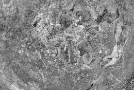 Pot à jus de viande n° 02/01190 : détail du poinçon au-dessous. © Région Bourgogne-Franche-Comté, Inventaire du patrimoine