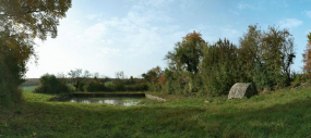 Vue de la mare abreuvoir. © Région Bourgogne-Franche-Comté, Inventaire du patrimoine