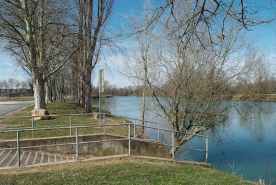 Alignement de platanes, rive gauche, en aval du port de Louhans. © Région Bourgogne-Franche-Comté, Inventaire du patrimoine