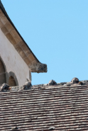 Détail d'une gargouille du clocher. © Région Bourgogne-Franche-Comté, Inventaire du patrimoine