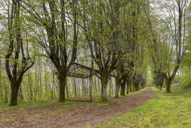 Portique de jardin © Région Bourgogne-Franche-Comté, Inventaire du patrimoine