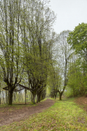 Allée © Région Bourgogne-Franche-Comté, Inventaire du patrimoine