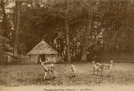 Parc © Région Bourgogne-Franche-Comté, Inventaire du patrimoine