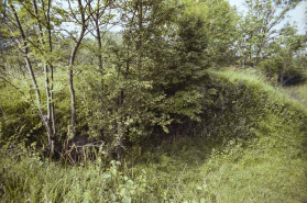 Vue d'ensemble d'alvéoles d'artillerie sur les dessus du fort. © Région Bourgogne-Franche-Comté, Inventaire du patrimoine