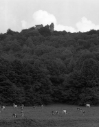 Vue de situation. © Région Bourgogne-Franche-Comté, Inventaire du patrimoine
