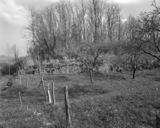 Vue des vestiges depuis le sud. © Région Bourgogne-Franche-Comté, Inventaire du patrimoine