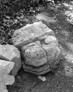 Chapiteau déposé du cloître représentant un lion. © Région Bourgogne-Franche-Comté, Inventaire du patrimoine