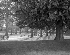 Vue partielle depuis l'avenue Revon. © Région Bourgogne-Franche-Comté, Inventaire du patrimoine