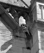Porche : détail d'une gargouille. © Région Bourgogne-Franche-Comté, Inventaire du patrimoine