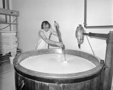 Décaillage au tranche-caillé manuel. © Région Bourgogne-Franche-Comté, Inventaire du patrimoine