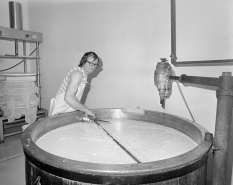 Décaillage au tranche-caillé manuel. © Région Bourgogne-Franche-Comté, Inventaire du patrimoine