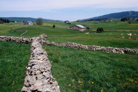 Murets de pâture. © Région Bourgogne-Franche-Comté, Inventaire du patrimoine