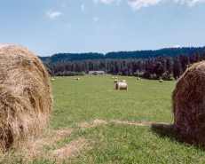 Vue de situation. © Région Bourgogne-Franche-Comté, Inventaire du patrimoine