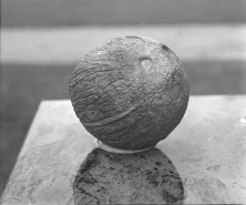 La noix de coco sur le socle de gauche. © Région Bourgogne-Franche-Comté, Inventaire du patrimoine