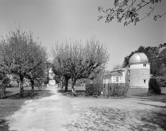 Partie nord : vue d'ensemble de l'allée centrale, depuis l'entrée au sud. Allée de tilleuls de Hollande. © Région Bourgogne-Franche-Comté, Inventaire du patrimoine