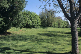 Partie nord : haie du côté est, vue depuis l'avenue de l'Observatoire. © Région Bourgogne-Franche-Comté, Inventaire du patrimoine