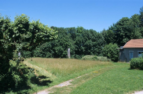 Partie nord : vue d'ensemble de la prairie et des arbres situés au nord-est. © Région Bourgogne-Franche-Comté, Inventaire du patrimoine