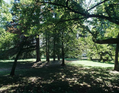 Partie sud : sous-bois à l'est de l'allée menant à la maison du directeur. © Région Bourgogne-Franche-Comté, Inventaire du patrimoine