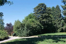 Partie sud : arbres et arbustes proches du bâtiment des bureaux. © Région Bourgogne-Franche-Comté, Inventaire du patrimoine