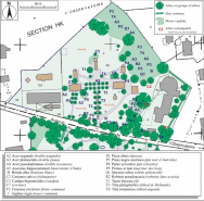 Plan de détail de la partie nord, avec identification des arbres. © Région Bourgogne-Franche-Comté, Inventaire du patrimoine